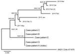 Thumbnail of Phylogenetic analyses of the medium RNA segment (Gc and Gn) of concatenated sequences of Andes hantavirus (ANDV). Isolates from the case-patients (A–E) from the 2011 outbreak in Chile were compared with control samples from the same geographic region (indicated by year isolated; number in parentheses indicates multiple isolates from the same year) and an ANDV sequence from GenBank (bottom isolate on tree; accession no. NC_003467.2). Scale bar indicates substitutions per site.