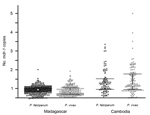 Thumbnail of Comparative distribution of numbers of Plasmodium falciparum and P. vivax mdr-1 copies in isolates collected from residents of Madagascar and Cambodia. Gray dot, median; dark bars, interquartile range (25%–75%).