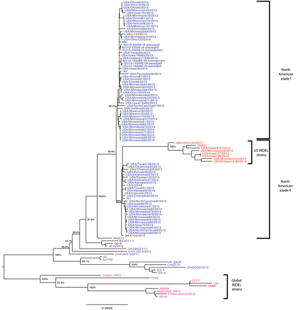 Phylogenetic tree based on complete genome sequences of 112 North American porcine epidemic diarrhea virus strains. Blue represents US non–S INDEL strains; red represents US S INDEL strains; brown represents Mexican strains; purple represents worldwide non–S INDEL strains; and pink represents global S INDEL strains. Bootstrap values are represented at key nodes. Scale bar indicates nucleotide substitutions per site. CH, China; IA, Iowa; S INDEL, insertions and deletions in the spike gene; IN, In