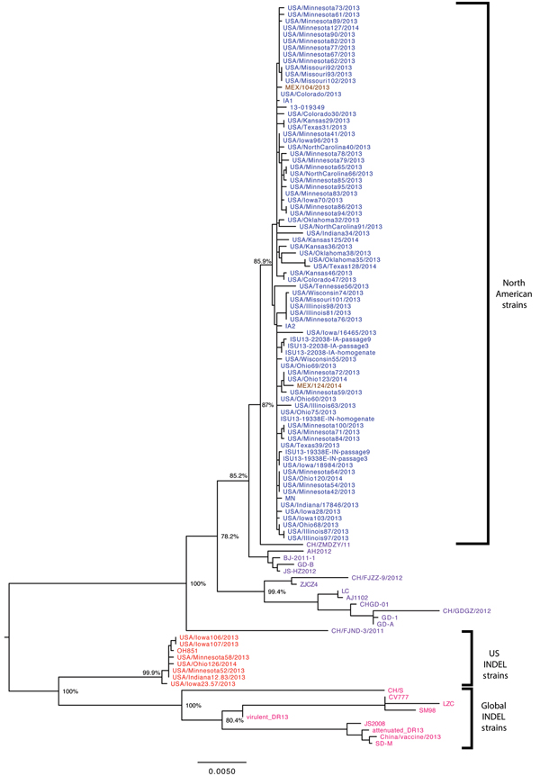 Phylogenetic tree based on the spike gene (S) sequence of 112 North American porcine epidemic diarrhea virus strains. Blue represents US non–S INDEL strains; red represents US S INDEL strains; brown represents Mexican strains; purple represents worldwide non–S INDEL strains; and pink represents global S INDEL strains. Bootstrap values are represented at key nodes. Scale bar indicates nucleotide substitutions per site. CH, China; IA, Iowa; S INDEL, insertions and deletions in the spike gene; IN, 