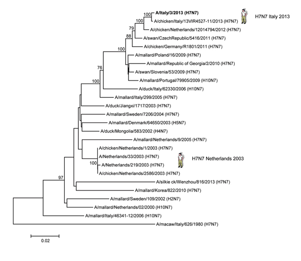 Phylogenetic analysis of the neuraminidase gene of the influenza A(H7N7) virus, Italy, isolated from humans during August–September 2013. The phylogenetic tree was constructed by using the neighbor-joining method and MEGA 5 software (http://www.megasoftware.net) with 1,000 bootstrap replicates (bootstrap values &gt;70% are shown next to nodes). The influenza A(H7N7) virus isolated from a human in 2013 is shown in boldface. Scale bar indicate nucleotide substitution per site.