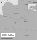 Thumbnail of Locations of 4 cases of African swine fever in wild boars in the European Union countries of Poland and Lithuania and location of a 2013 outbreak among domestic pigs in Belarus, an eastern European country that shares a border with Poland and Lithuania. Inset map shows location (square) of countries in the larger map within the larger surrounding area.