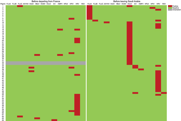 Patterns of respiratory viruses detected among 64 pilgrims who were positive for viruses during the study period before departing from France and before leaving Saudi Arabia, 2013 Hajj. FLUA, influenza A(H3N2) virus; FLUB, influenza B virus; FLUC, influenza C virus; A/H1N1, A(H1N1)pdm09 virus; HAdV, human adenovirus; HBoV, human bocavirus; HCMV, human cytomegalovirus; EV, human enterovirus; HMPV, human metapneumovirus; HPeV, human parechovirus; HPIV, human parainfluenza virus; HRV, human rhinovi