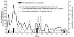Thumbnail of Weekly cholera incidence in communal sections of Haiti in which water samples were positive for Vibrio cholerae O1; accumulated precipitation in the studied area by week during April 2012–March 2013; and number of environmental sites from which V. cholerae O1 was isolated, by month. Incidence was calculated from patients who were hospitalized in the Leogane cholera treatment center and who resided near the 4 sites found positive for V. cholerae O1 by Alam et al. (1): second communal