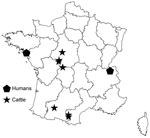 Thumbnail of Geographic locations of human and cattle cases of Echinococcus ortleppi infections, France, 2011–2012.