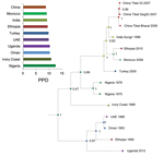 Thumbnail of Maximum clade credibility tree constructed for the geospatial analysis of peste des petits ruminants viruses by using complete genome data. Nodes are colored according to the most probable location of their ascendent locations. Posterior probability values are shown along tree nodes. Posterior probability distribution (PPD) values of root location states of the ancestral node are shown along the x-axis at the top left. UAE, United Arab Emirates.