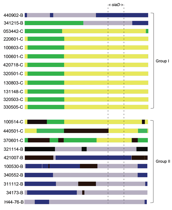 Analysis of the recombination events Neisseria meningitidis strains belonging to the sequence type 4821 clonal complex (strain numbers and serogroup are shown on the left). The result was from analysis using the 3seq (33) method in RDP (http://web.cbio.uct.ac.za/~darren/rdp.html). Group I and group II refer to the groups in Figure 2. Green regions represent serogroup C–specific sequences; yellow regions represent the recombination within serogroup C; gray regions represent serogroup B–specific s