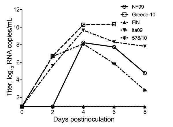 Viral RNA copy numbers for West Nile virus (WNV)–infected carrion crows after inoculation with 2,000 50% tissue culture infectious doses of WNV; each group (n = 6) was inoculated with a different strain. RNA copy numbers are represented as log-transformed medians. The assay had a detection limit of 9 (1.0 log10) RNA copies/mL of serum.