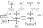 Thumbnail of Diagnostic algorithm for improved detection of tuberculosis (TB) and multidrug-resistant TB (MDR TB) among Tibetan refugees, India. GeneXpert, Xpert MTB/RIF test (Cepheid, Sunnyvale, CA, USA). MTB, Mycobacterium tuberculosis; RIF, rifampin; –, negative; +, positive.