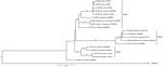 Thumbnail of Phylogeny of La Crosse virus (LACV) based on the medium (M) segment of the viral polyprotein gene. State of isolate origin, isolation year, mosquito, or vertebrate isolate source and the National Center for Biotechnology Information (NCBI) accession numbers are listed for each isolate within the tree. The scale bar represents the number of nucleotide substitutions per site. LACV historical lineages are identified by vertical bars. The 2009 isolates from Virginia (NCBI accession nos.