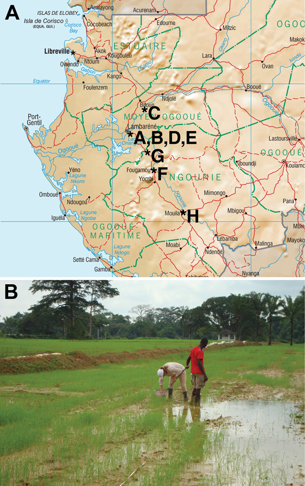 Environmental survey. A) Gabon, showing location of the 8 sites from which soil was sampled to test for the presence of B. pseudomallei, July 2012–September 2012. B) Soil sampling site no. H, a rice field near Mouila village. 