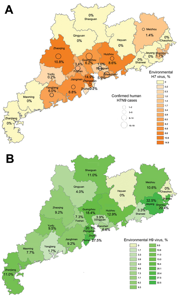 Distribution of influenza A H9 (A) and H7 (B) viruses, Guandong Province, China, 2013–2014. Shading indicates percentage of environmental swab specimens from live poultry markets in each region that were positive for each influenza subtype by reverse transcription PCR. Circles indicate locations of human cases; larger circles indicate higher numbers of cases.