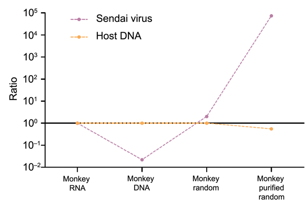 Changes in virus-to-host nucleic acid signal-to-noise ratio during development of tissue-based universal virus detection for viral metagenomics (TUViD-VM) protocol. Next-generation sequencing results for virus-infected marmoset tissue comparatively sequenced were obtained by using 4 approaches: standard RNA library preparation (Monkey RNA), standard DNA library preparation (Monkey DNA), DNA library from random-amplified marmoset tissue (Monkey random), and DNA library from random-amplified marmo