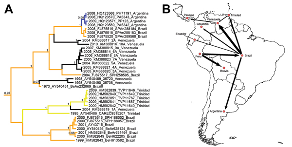 Figure 1 - Enzootic Transmission of Yellow Fever Virus, Venezuela ...