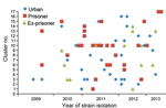 Thumbnail of Temporal distribution of Mycobacterium tuberculosis strains isolated from the urban population, prisoners, and ex-prisoners in Dourados, Brazil, clustered by IS6110 restriction fragment length polymorphism analysis, June 2009–March 2013, and stratified by year of isolation and number of the identified cluster.