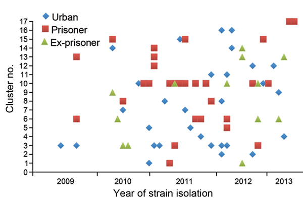 Temporal distribution of Mycobacterium tuberculosis strains isolated from the urban population, prisoners, and ex-prisoners in Dourados, Brazil, clustered by IS6110 restriction fragment length polymorphism analysis, June 2009–March 2013, and stratified by year of isolation and number of the identified cluster.