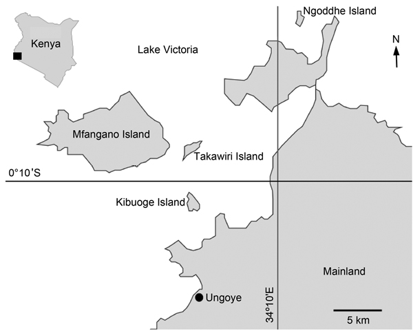 Study sites for investigation of K13 propeller gene in Plasmodium falciparum, Mbita District, Kenya, 2012–2013. Insert shows location of study area in Kenya.