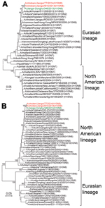 Thumbnail of Phylogenetic trees of hemagglutinin (A) and neuraminidase (B) gene segments of influenza virus A(H10N8) isolates from Jiangxi Province, China, 2013–2014, compared with other closely related influenza viruses. Red indicates the novel H10N8 isolates A/chicken/Jiangxi/77/2013 (H10N8) and A/chicken/Jiangxi/B15/2014 (H10N8) that were identified in this study from poultry from live poultry markets; green indicates the human-source H10N8 virus isolate A/Jiangxi/346/2014 (H10N8). Scale bars