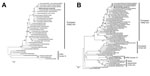 Phylogenetic trees of the hemagglutinin (A) and neuraminidase (B) genes of swine influenza viruses (SIVs). The 8 genome segment sequences of the A/Pavia/07/2014 strain (black dot, in bold) were submitted to GenBank under accession nos. KJ623706–KJ623713. Scale bars indicate nucleotide substitutions per site.