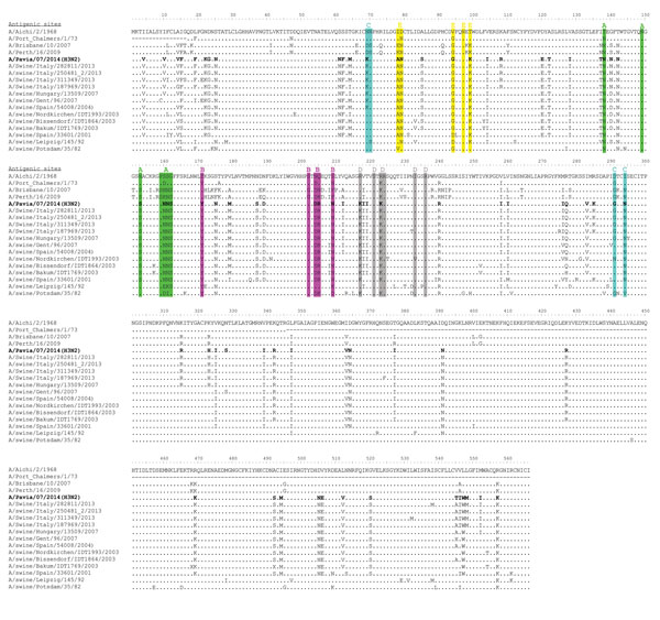 Amino acid sequence alignment of the hemagglutinin protein of swine influenza virus (SIV) (H3N2) strain A/Pavia/07/2014 (bold) and other SIVs. Antigenic sites A, B, C, D, and E of H3 HA are highlighted in green, magenta, blue, gray, and yellow, respectively, as proposed by others (11). Amino acid changes with respect to the A/Aichi/2/1968 strain are indicated for each strain.