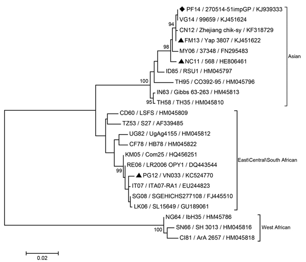Phylogenetic analysis of the chikungunya virus strain isolated from a patient in French Polynesia, May 2014. The evolutionary history was inferred by using the maximum-likelihood method based on the Kimura 2-parameter model. The percentage of trees in which the associated taxa clustered together is shown for values &gt;90 next to the branches (1,000 replicates). Evolutionary analyses were conducted by using MEGA software, version 6 (http://www.megasoftware.net). Each strain is labeled by country