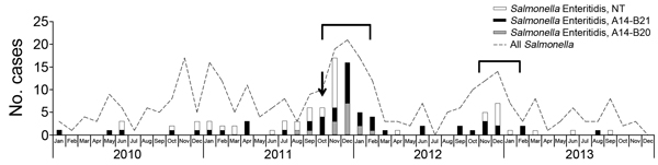 Number of confirmed cases of human infection with Salmonella enterica serotype Enteritidis per month and distribution of clustered regularly interspaced short palindromic repeats types, French Polynesia, 2010–2013. Arrow indicates when infections associated with tuna dish prepared with contaminated eggs occurred; brackets indicate periods of laying hen slaughters. NT, not typed.