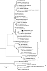 Thumbnail of Phylogenetic tree showing genetic relationships among peste des petits ruminants virus (PPRV) isolates. The tree was constructed on the basis of a 255-nt fragment of nucleoprotein gene of PPRV. Sequences obtained in this study are indicated by black circles. Lineages are indicated on the right. Viruses were identified by using the nomenclature of PPRV isolates (GenBank accession numbers are indicated in parentheses). Analysis was performed by using MEGA 6 software (10) and neighbor-