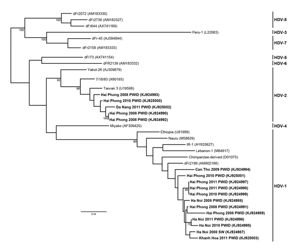 Maximum-likelihood phylogenetic tree of hepatitis delta virus (HDV) genotypes 1 and 2 from Vietnam. A 472-nt fragment (corresponding to nucleotides 802–1,273 from HDV isolate C15; Genbank accession no. KF660600) was used to construct the phylogram. HDV genotyping was done by using amplification and bidirectional sequencing of the R0 region as described by Le Gal et al. (2). Bootstrap resampling was done for 1,000 replicates of the dataset using the neighbor-joining algorithm; values &gt;70% are 