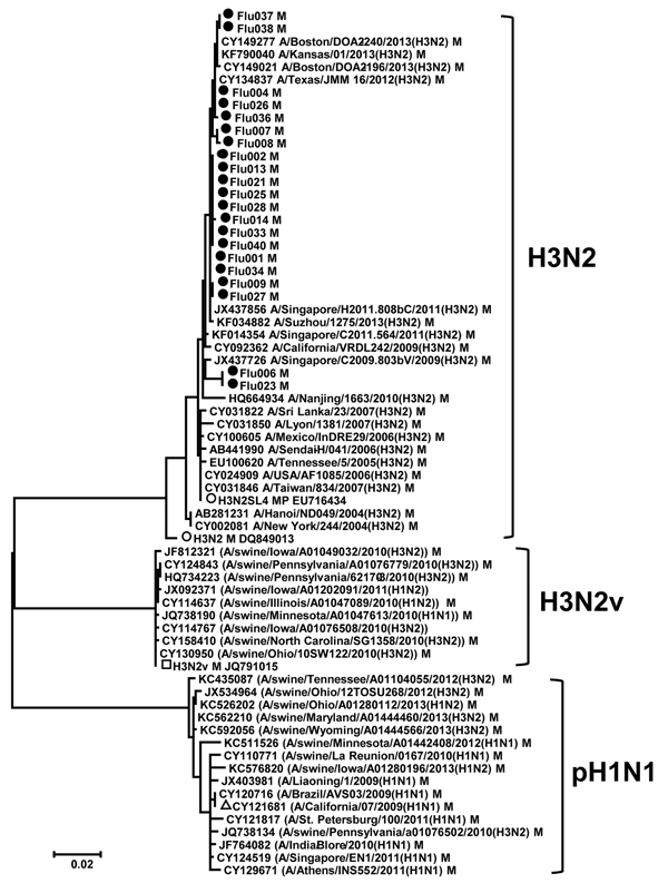 Phylogenetic analysis of the matrix (M) gene sequences obtained from nasopharyngeal swab samples from patients who had received a diagnosis of influenza in Connecticut, USA, during the 2012–13 influenza season (see Table 1). Analysis was performed by using the neighbor-joining module in MEGA (29) with the Kimura 2-parameter method. The reference subtypes were fetched from the Influenza Research Database (http://www.fludb.org) and used to construct the tree. Bootstrap values &gt;70% are shown. Th
