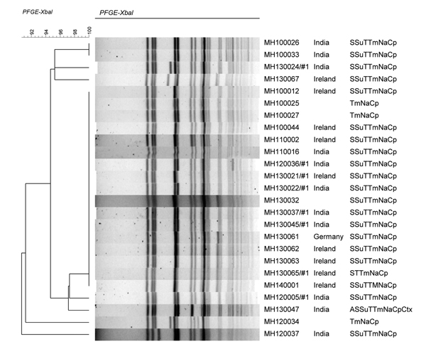 Dendrogram of ciprofloxacin-resistant Shigella sonnei digested with XbaI enzyme. Isolate identification numbers and country location for origin of infection are shown. In column on far right, antibiogram abbreviations indicate resistance to antimicrobial drugs: A, ampicillin; S, streptomycin; Su, sulfamethoxazole; T, tetracycline; Tm, trimethoprim; Na, nalidixic acid; Cp, ciprofloxacin; Ctx, cefotaxime. Scale bar indicates evolutionary distance. PFGE, pulsed-field gel electrophoresis.