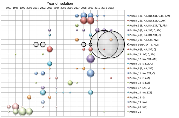 Vibrio cholerae strain antimicrobial drug resistance profiles plotted by year, Democratic Republic of the Congo, 1997–2012. On the basis of the antibiogram results, strains were grouped into 21 antimicrobial drug resistance profiles. The antimicrobial drugs to which the strains displayed resistance are indicated on the right. Circle circumference represents the relative number of isolates per profile. AM, ampicillin; C, chloramphenicol; SXT, sulfamethoxazole/trimethoprim; TE, tetracycline; DO, d