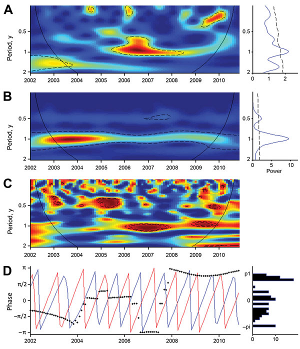 Wavelet analysis of Buruli ulcer (BU) case series and Nyong River flow, January 2002–December 2010. A, B) The color gradient indicates how well the wavelet of a given period adjusted with the series (power). The detection of periodic signals was performed within a confidence cone, which excluded the beginning and the end of the series where edge effects would be too likely (black solid line). Statistically significant zones are circled with dashed lines, indicating detection of significant perio