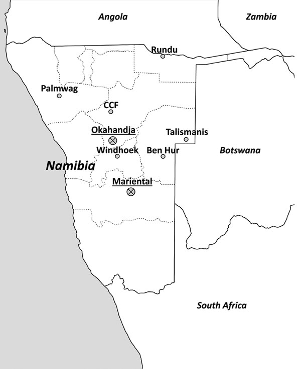 Screening for arenaviruses in Namibia. Trapping locations (named according to the nearest urban settlement) of small mammals. Sites where samples positive for new arenaviruses were found are marked by a crossed circle and underlined locality names. Geographic positioning system coordinates of the trapping sites: Ben Hur, 22°87.26′S, 19°21.10′E; Cheetah Conservation Fund (CCF), 16°39.0′E, 20°28.12′S; Mariental, 24°62.08′S, 17°95.93′E; Okahandja, (21°98.33′S, 16°91.32′E); Palmwag, 19°53.23′S, 13°5