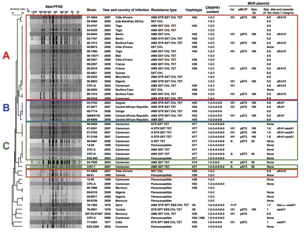 Characteristics of 50 Salmonella enterica serotype Typhi isolates. The dendrogram was generated by using BioNumerics version 6.6 software (Applied Maths, Sint-Martens-Latem, Belgium) and shows results of cluster analysis on the basis of XbaI–pulsed-field gel electrophoresis (PFGE) fingerprinting. Similarity analysis was performed by using the Dice coefficient, and clustering analysis was performed by using UPGMA. CRISPR1, clustered regularly interspaced short palindromic repeats 1; MDR, multidru