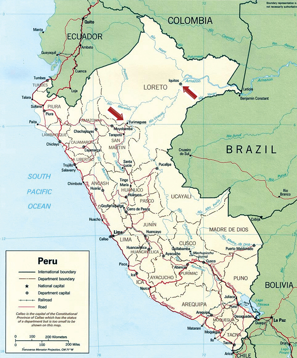 Geographic distribution of the confirmed Itaya virus human cases (arrows) identified as part of the febrile disease surveillance project in Loreto, Peru during the years 1999 and 2006