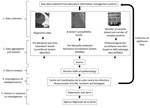 Thumbnail of Workflow of real-time surveillance systems used by Institut Hospitalo–Universitaire Méditérranée Infection, Assistance Publique-Hôpitaux de Marseille, Marseille, France.