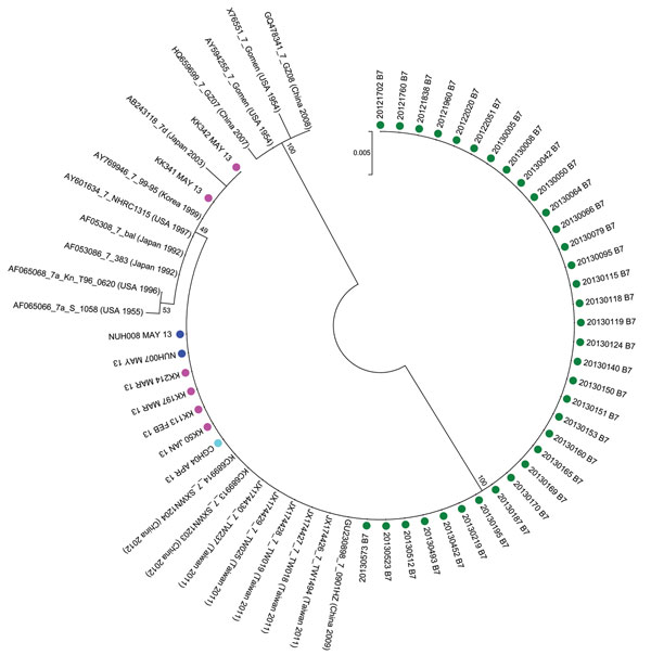 Phylogenetic analysis of adenovirus type 7 (Ad7) sequences from this study based on sequenced Ad7 hexon gene hypervariable regions 1–6 (Ad7 reference Gomen AY594255 hexon gene nt 324 to 1123). The phylogenetic relationships between Ad7 isolates in this study were inferred by using the maximum-likelihood method based on the Tamura-Nei model (8). Initial trees for the heuristic search were obtained by applying the neighbor-joining method to a matrix of pairwise distances estimated by using the max