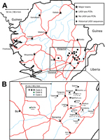 Thumbnail of A) Locations of origin for Lassa virus (LASV) nucleic acid sequences, Sierra Leone. B) Enlarged view of region from which rodent specimens were collected. Major roads (red) and waterways (blue) are indicated. Symbols indicate major cities and towns (stars); sites in this study with rodent samples that were PCR positive for LASV (circles); sites in this study from which all samples frommulitmammate rats were PCR negative for LASV (squares); and sites from which published LASV sequenc