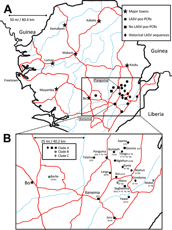A) Locations of origin for Lassa virus (LASV) nucleic acid sequences, Sierra Leone. B) Enlarged view of region from which rodent specimens were collected. Major roads (red) and waterways (blue) are indicated. Symbols indicate major cities and towns (stars); sites in this study with rodent samples that were PCR positive for LASV (circles); sites in this study from which all samples frommulitmammate rats were PCR negative for LASV (squares); and sites from which published LASV sequences originated