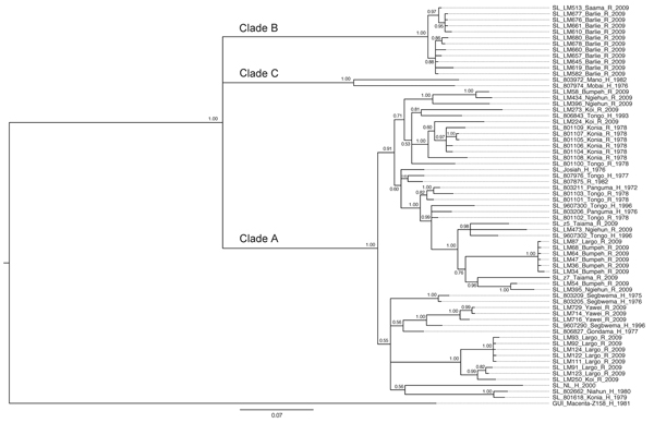 Phylogenetic analysis of Lassa virus isolates from Sierra Leone based on partial nucleoprotein (NP) gene sequences. The homologous NP fragments of 621 nt were aligned. The isolate Z-158, which originated from Macenta district in Guinea, was used as outgroup based on the previous phylogenetic analyses to root the tree. The 50% majority rule consensus tree was estimated by using Bayesian Inference method implemented in MrBayes software (32) using the Tamura 3-parameter substitution model with disc