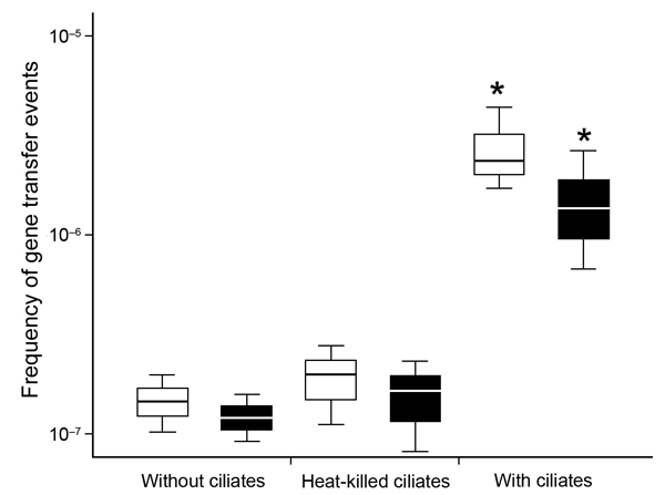 Box plot chart showing effects of ciliates on the transfer frequency of plasmid-mediated quinolone-resistance genes between Escherichia coli strain J53 and qnrB-positive Klebsiella oxytoca strain (white boxes) or qnrA-positive E. coli strain (black boxes). Box plots are divided by medians (black or white bars) into upper quartile and lower quartile ranges. Error bars indicate minimum and maximum values. Asterisks indicate a statistically significant difference (p&lt;0.05) between treated and unt