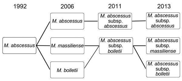 Serial changes in the nomenclature and taxonomic classification of Mycobacterium abscessus complex, 1992–2013.