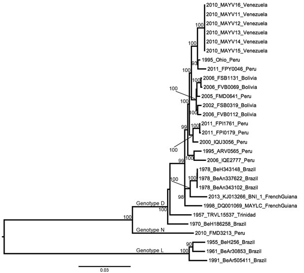 Midpoint-rooted maximum-likelihood phylogeny of 29 Mayaro virus strains on the basis of complete genome sequences, Venezuela, 2010. Nodes are labeled with bootstrap values ≥90%. Tip labels indicate year of isolation, strain name, and country of isolation. Scale bar indicates percentage nucleotide sequence divergence. Isolates DQ001069 and KJ013266 were previously sequenced and obtained from GenBank.
