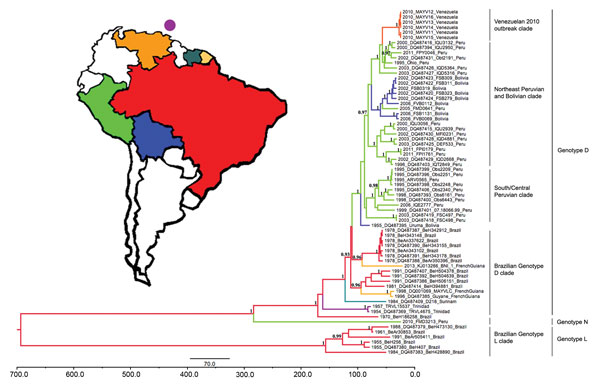 Bayesian maximum clade credibility tree for Mayaro virus in the Americas on the basis of 1,731 nt of envelope (E2–E1) genes, Venezuela, 2010. The purple circle above Venezuela indicates the island of Trinidad. Taxon labels indicate year of isolation, strain designation, and country of isolation. Terminal branches of the tree are colored according to the sampled location of the taxon at the tip. Internal branches are colored according to the most probable (modal) location of their parental nodes.