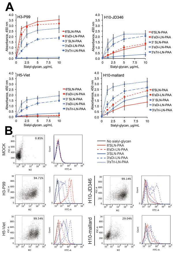 Receptor binding specificity of hemagglutinin of influenza A(H10N8) virus H10-JD346. A) Binding of recombinant hemagglutinins to glycans in a solid-phase binding assay. Results are means ± SEM of triplicate samples. PAA, polyacrylamide. B) Flow cytometry–based assay. H3-P99 (human), H5-Viet (avian origin isolated from a human case), and H10-mallard (avian) viruses were included in the analysis for comparison and as controls. Values at the top right of the dot plots indicate percentage of cells e