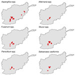 Thumbnail of Geographic distribution of specific molds isolated from wounds sustained by military personnel in Afghanistan, 2009–2011.