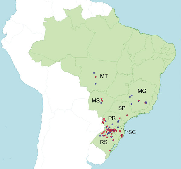 Areas of swine production in 7 states in southern, midwestern, and southeastern Brazil: Rio Grande do Sul (RS) State (total swine population ≈7.0 million), Santa Catarina (SC) State (≈9.0 million swine), Paraná (PR) State (≈6.0 million swine), Mato Grosso (MT) State (≈2.4 million swine), Mato Grosso do Sul (MS) State (≈1.3 million swine), Minas Gerais (MG) State (≈5.4 million swine), and São Paulo (SP) State (≈1.8 million swine). Red dots indicate pig farms sampled where at least 1 sample was po