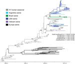 Thumbnail of Phylogenetic relationships between human and swine influenza H1 segments. Time-scaled Bayesian maximum clade credibility (MCC) tree inferred for the hemagglutinin (H1) sequences of 209 viruses, including 2 swine viruses from Brazil sequenced for this study, A/swine/Brazil/185-11-7/2011(H1N2) and A/swine/Brazil/232-11-13/2011(H1N2); 3 swine influenza A viruses from Brazil sequenced previously, A/wild boar/Brazil/214-11-13D/2011(H1N2) (26), A/swine/Brazil/31-11-1/2011(H1N2), and A/swi