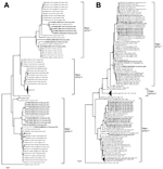 Thumbnail of Phylogenetic analysis of selected enterovirus D68 (EV-D68) strains based on nucleotide sequences of A) partial viral protein (VP) 4/VP2 region (357 nt) corresponding to nt 733–1089 in the Fermon strain (GenBank accession no. AY426531; and B) partial VP1 region (339 nt) corresponding to nt 2521–2859 in the Fermon strain. Trees were constructed by using maximum-likelihood estimation (Tamura 3-parameter with 5 gamma distributed rates among sites) with 1,000 replicates through MEGA 5.2.