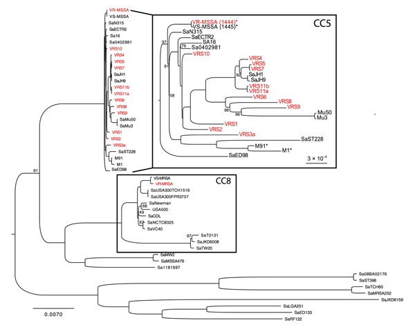 Phylogenetic analyses of Staphylococcus aureus strains, Brazil. Whole-genome phylogenetic tree (dataset = 325,732 single-nucleotide polymorphisms, gamma-based log likelihood − 1909607.06950) of the S. aureus species showing position of vancomycin-resistant, methicillin-susceptible S. aureus (VR-MSSA) and vancomycin-susceptible MSSA (VS-MSSA) isolates sequenced for this study. Vancomycin-resistant S. aureus (VRSA) strains are shown in red. Numbers on branches are bootstrap values based on 1,000 r